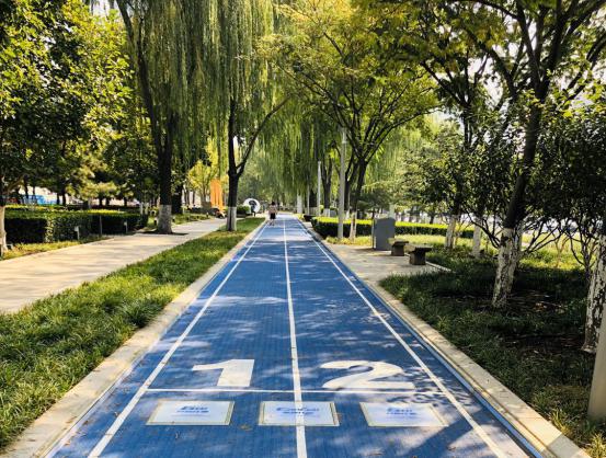 家门口的智能步道——南京花神湖智能体育公园正式开园啦！