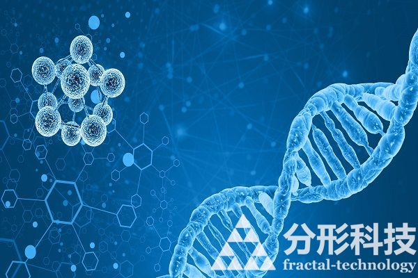 医院网站建设的功能如何提升患者体验